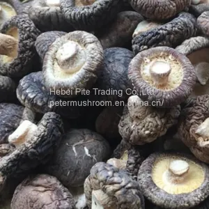 Dried Shiitake Mushroom thumbnail-1