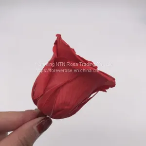 Preserved Flowers Wedding Bridal Bouquets Natural Eternal Roses thumbnail-3