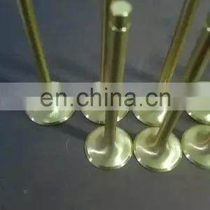 New Discount Automotive Spare Parts Diesel Engine Valve For Asia Topic Towner 2009-2010 thumbnail-1