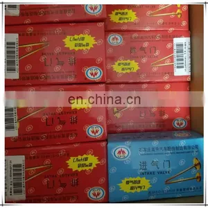 OEM Car Spare Parts For Nisan TIIDA Hatchback C12 1.6 1.8 HR16DE MR16DDT MRA8de Engine Valves thumbnail-6