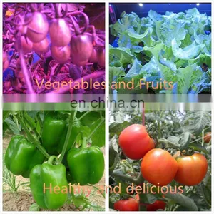 New Product For Indoor Plants Growing and Flowering LED Lamps 2700w COB Grow Light thumbnail-7