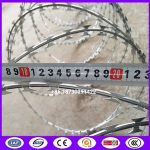 Rust Resistance Hot Dipped Galvanized Razor Barbed Wire For Protection thumbnail-3