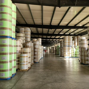 Tianjinsheng Non-woven Technology Co., Ltd. company overview - view 4 thumbnail