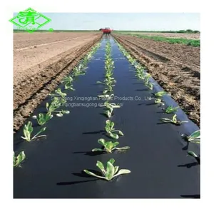 Factory Direct Sales of Silver Shine Plastic Mulch Films thumbnail-2