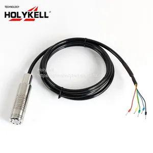 Holykell Submersible Fuel Level & Volume & Temperature Transducer & Transmitter HPT604-LT thumbnail-3