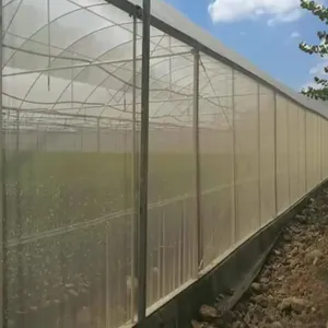 30 40 50 60 Mesh Greenhouse Anti Aphid Netting Customized Size Garden Vegetables Pest Control Screen Insect Screen Barrier Net thumbnail-4