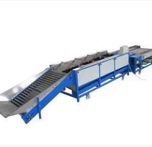 Orang Sorter Machine/ Mandarin Orange Sorting Machine/ Apple Grading Machine thumbnail-5
