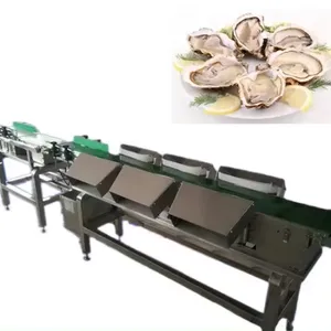 Professional Seafood Weight Sorting Machine Fish,shrimp,Oysters,Prawns,Scallops,Squid Weight Selecting Machine thumbnail-1