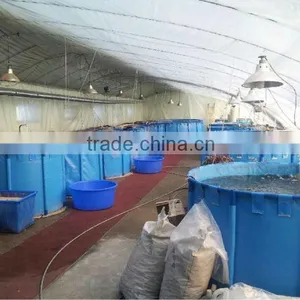 Tarpaulin Waterproof Flexible Fish Ponds , Folding Fish Tanks thumbnail-1