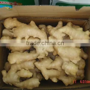 100g and up Chinese Fresh Ginger thumbnail-1