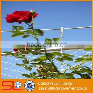 2mmx50mm Stainless Steel Rope Mesh Green Wall thumbnail-2