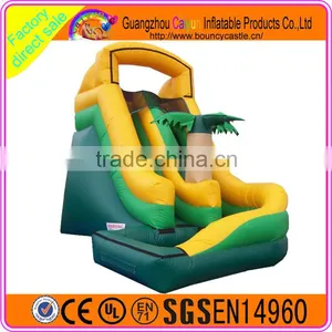 2016 Pop-selling Custom Made Inflatable Plastic Water Slide thumbnail-3