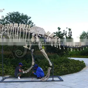 High Simulation Fiberglass Skeleton Model of Dinosaur thumbnail-4