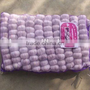 Chinese Fresh Purple Garlic thumbnail-1