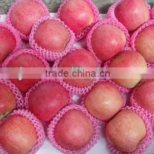 2012 Fresh Chinese Apple thumbnail-1