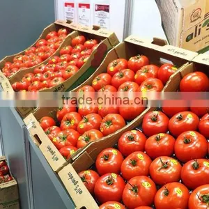 Tomato thumbnail-2