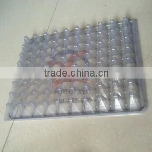 Produce Thermoforming Clear Acrylic Trays thumbnail-1