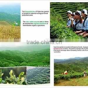 Hot Sale Yijian Brands Lose Weight Organic Loose Black Tea thumbnail-6