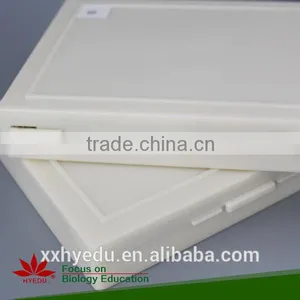 200kinds Prepared Slides , Mixed Glass Prepared Slides thumbnail-5