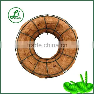20" Round Coco Living Wreath thumbnail-1