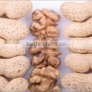 Chinese Peanut Kernels in Bulk (28/32) thumbnail-1