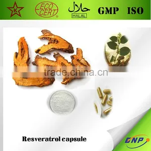 BNP Supply 100% Natural Resveratrol Capsules/Giant Knotweed Extract Capsules thumbnail-1