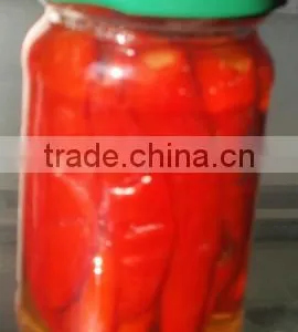 Red Chili thumbnail-1