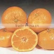 CLEMENTINE ESSENTIAL OIL thumbnail-1