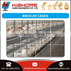 Automatic Pan Feeding System thumbnail-1