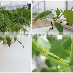 Growing Pot for Vegetable Tomato or Cucumber thumbnail-1