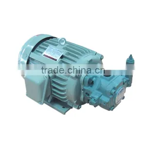 Electric Motor With Hydraulic Pump thumbnail-1