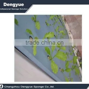 Hydroponic Plant With Cubic Sponge Grow Kit Green Foam For Plants thumbnail-3
