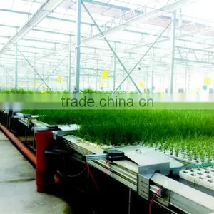 10-year Warranty UV Protection Greenhouses Structure With Hydroponic System thumbnail-1