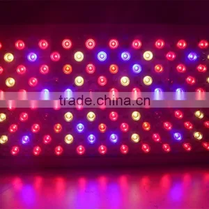 300W 600W 1000W LED Grow Light Full Spectrum for Hydroponic Veg and Flower Greenhouse Plant Growing 9 Band thumbnail-6