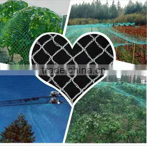 2016 New HDPE Vineyards Anti Bird Netting/pond Netting in Australia/new Zealand thumbnail-5