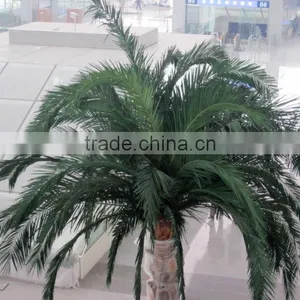 Best Quality Artificial Palm Tree Leaves thumbnail-1