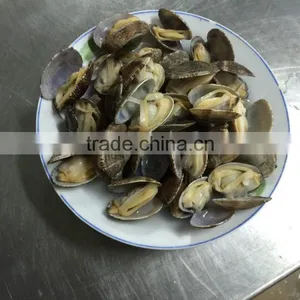 V-packed Cooked Short Clam Necked in Shell thumbnail-4