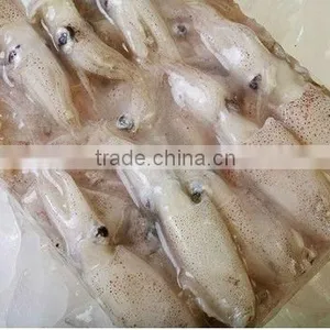 Cooking Frozen Squid thumbnail-1