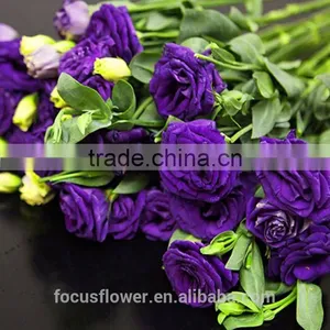 2017 Popular Top Sell Artificial Purple Eustoma Flower thumbnail-4