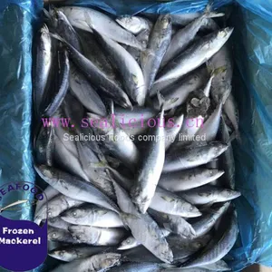 Trading & Supplier of China Aquatic Products Frozen Mackerel Fish thumbnail-1
