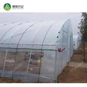 Low Cost Widely Used Agricultural Film Single Span Greenhouse thumbnail-1