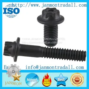 Customize Supply Stainless Steel Bolt,Carbon Steel Bolt,High Tensile Steel Bolt,Mid-steel Bolt,T Head Bolt,Hex Head Bolt,Round Head Bolt,Square Head Bolt,Special Head Bolt,Zinc Galvanized Bolt,Black Oxide Bolt. thumbnail-2