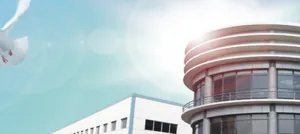 Hangzhou Hengli Metal Processing Co., Ltd company overview - view 1 thumbnail