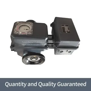 Bernard Induced Draft Fan Actuator Straight Association-like Electric Actuators OA-10/F25Z thumbnail-1