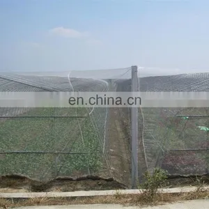 High Quality HDPE Fruit Tree Anti-insect Net 40 Mesh for Vegetable Gardens thumbnail-3