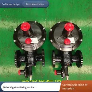 Cng Industrial Decompression Box, Gas Metering and Pressure Regulating Cabinet, Customization Supported, Low Noise, Hongyi Technology thumbnail-2