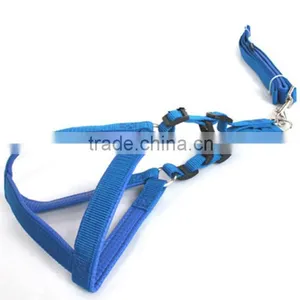 Pet Collar thumbnail-1