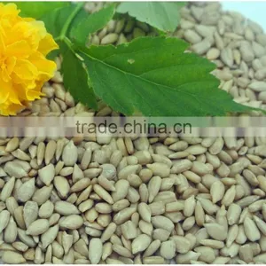Hulled Organic Sunflower Seeds Bakery Grade For Sale thumbnail-4