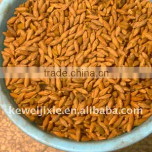 Olive Stoning Machine thumbnail-1