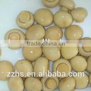 Canned Mushroom Canned Food thumbnail-3